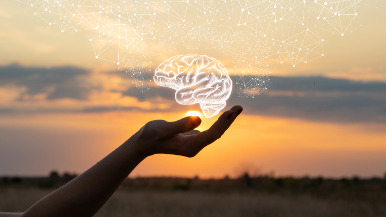 Hand holding a brain with a sunset in the background