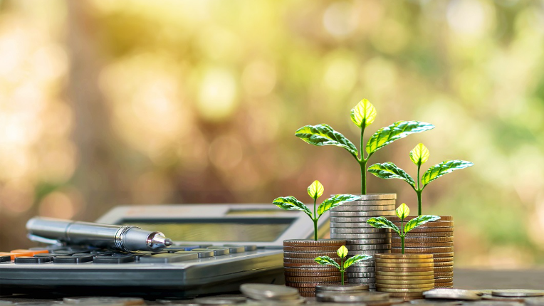 Plant on coins and calculators, financial accounting concepts and save money.
