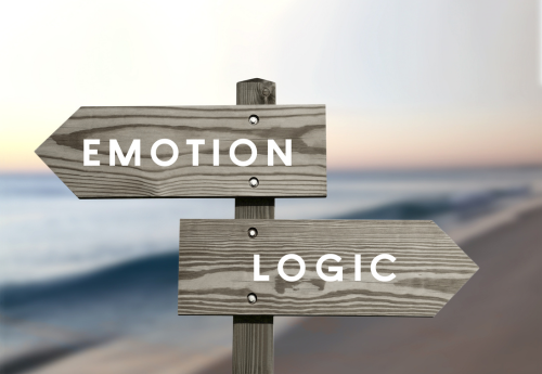 A picture about emotion vs. logic